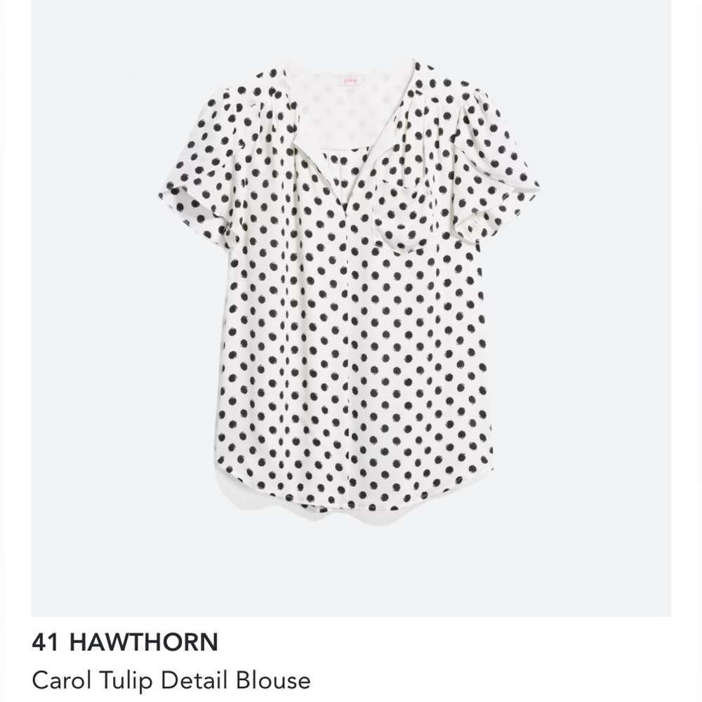 41 Hawthorn Carol Tulip Detail Blouse from Stitch Fix